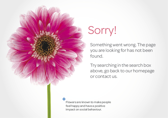 WEB_SCHS_404errorpage_500px