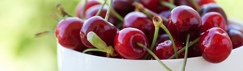 WEB_SCHS_Section-headers_847x250px_Advisers