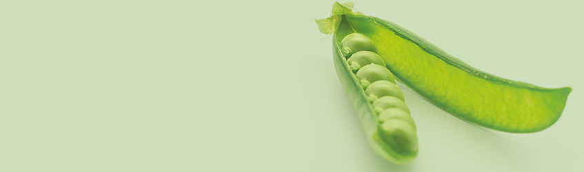 WEB_SCHS_Section-headers_847x250px_FirstCover