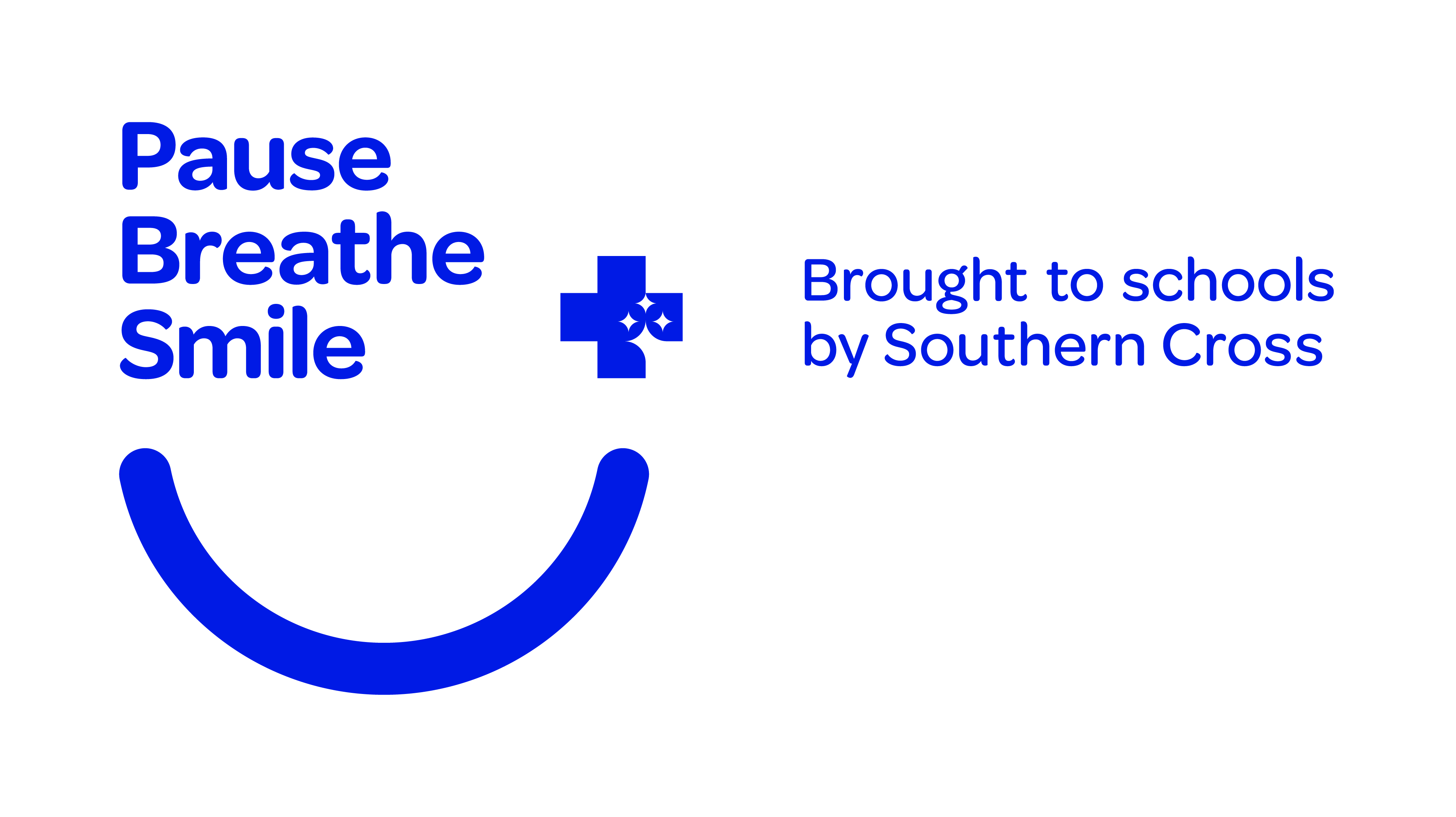 PBS Horizontal Logo CMYK