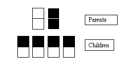 Haemochromatosis 5