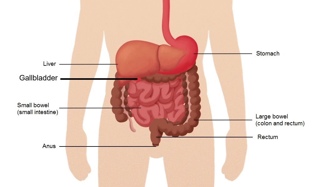 Gallbladder Food Chart