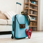 Domestic Travel 140x140