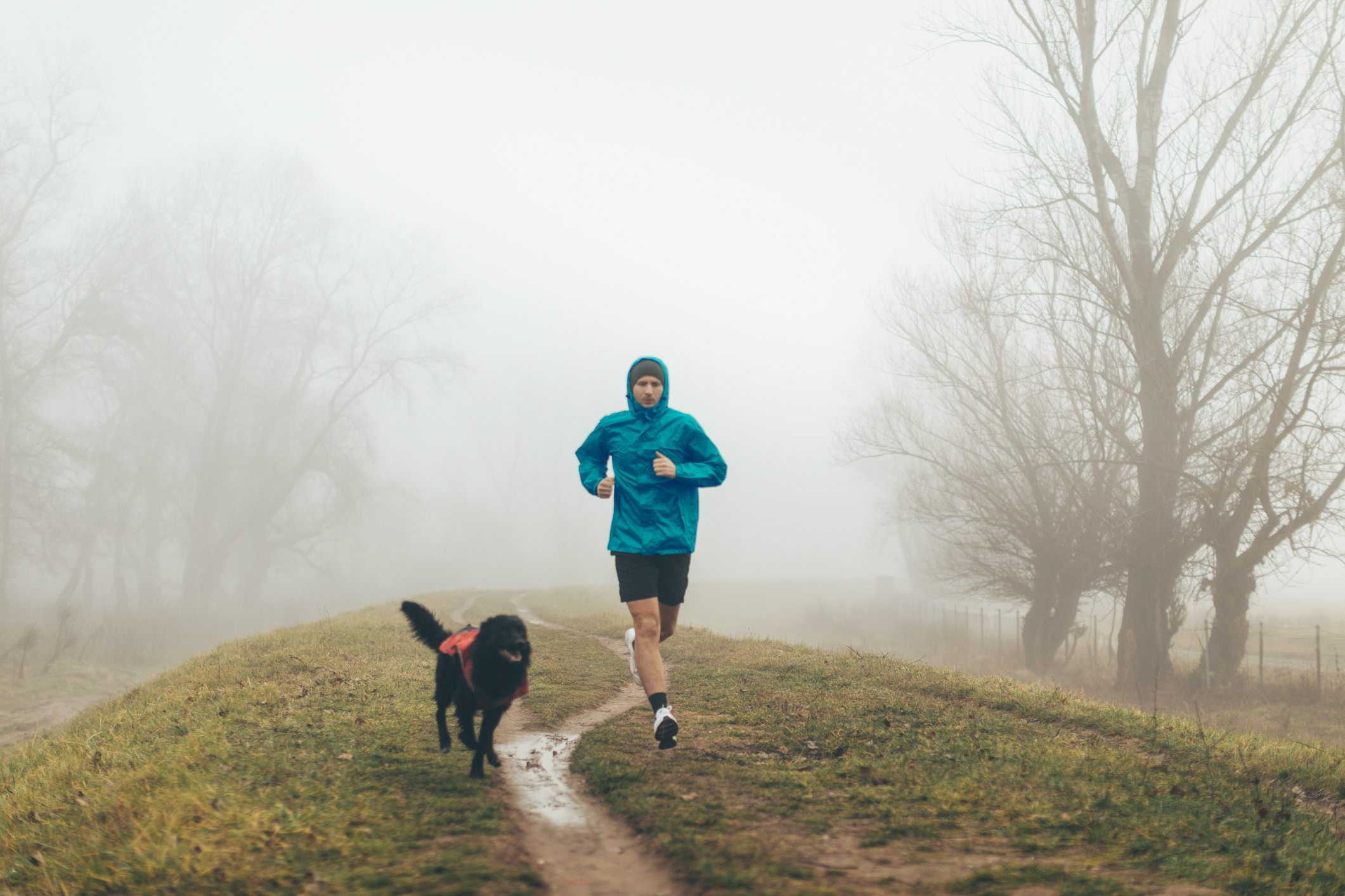 a man jogging with his dog