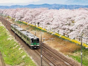 A train in Japan