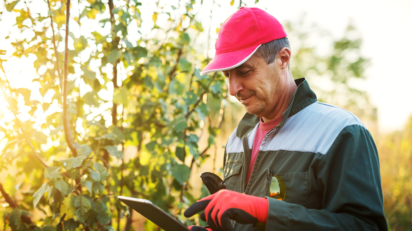 a man works in a field