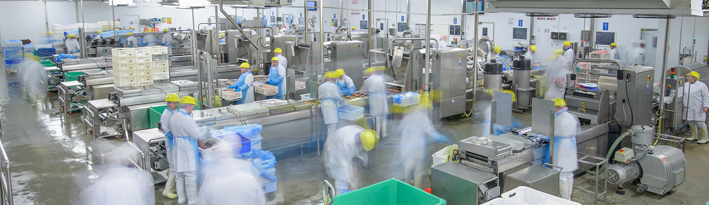 Canary foods Canary foods